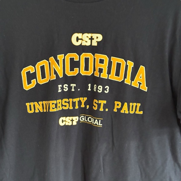 Gildan Concordia University St. Paul CSP Navy Size Large Unisex - Picture 3 of 4